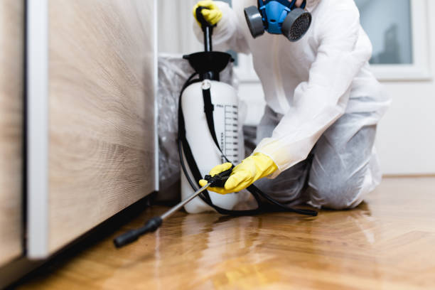 Best Rat Extermination Near Me  in Corning, CA
