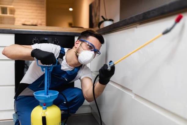 Best Pest Removal Services  in Corning, CA