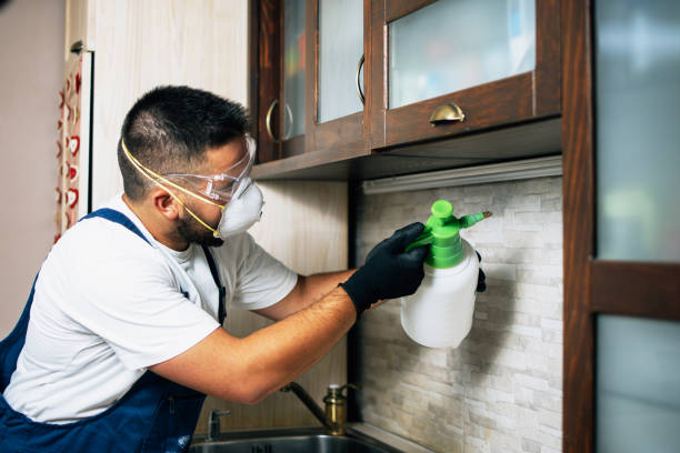 Best Best Pest Control Companies  in Corning, CA