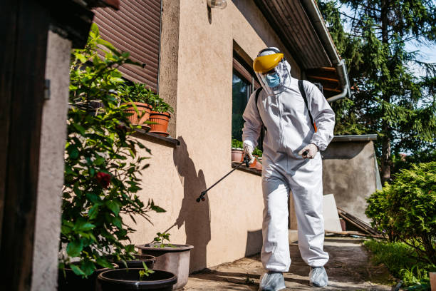 Best Mosquito Control Services  in Corning, CA