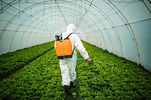 Best Pest Control Near Me  in Corning, CA
