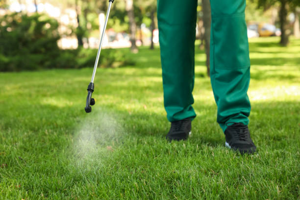 Best Flea Control Services  in Corning, CA
