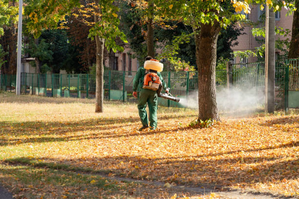 Best Residential Pest Control  in Corning, CA