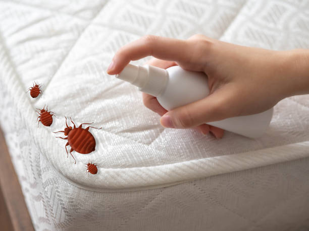 Best Pest Inspection Near Me  in Corning, CA